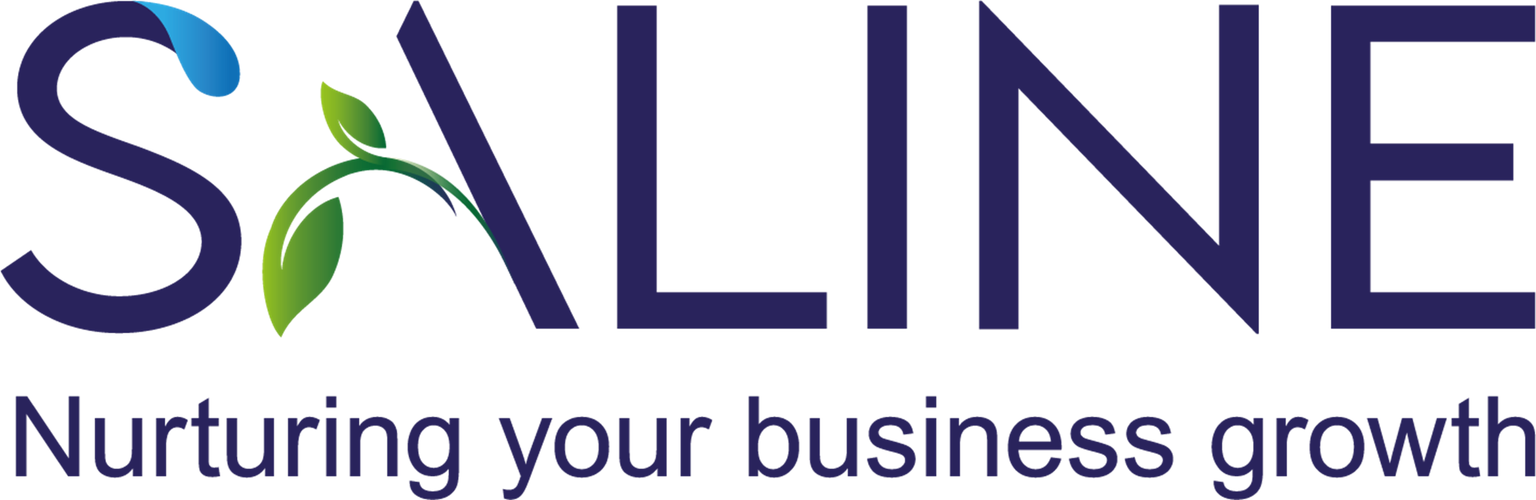 FindMyCRM - CRM Parter: SALINE